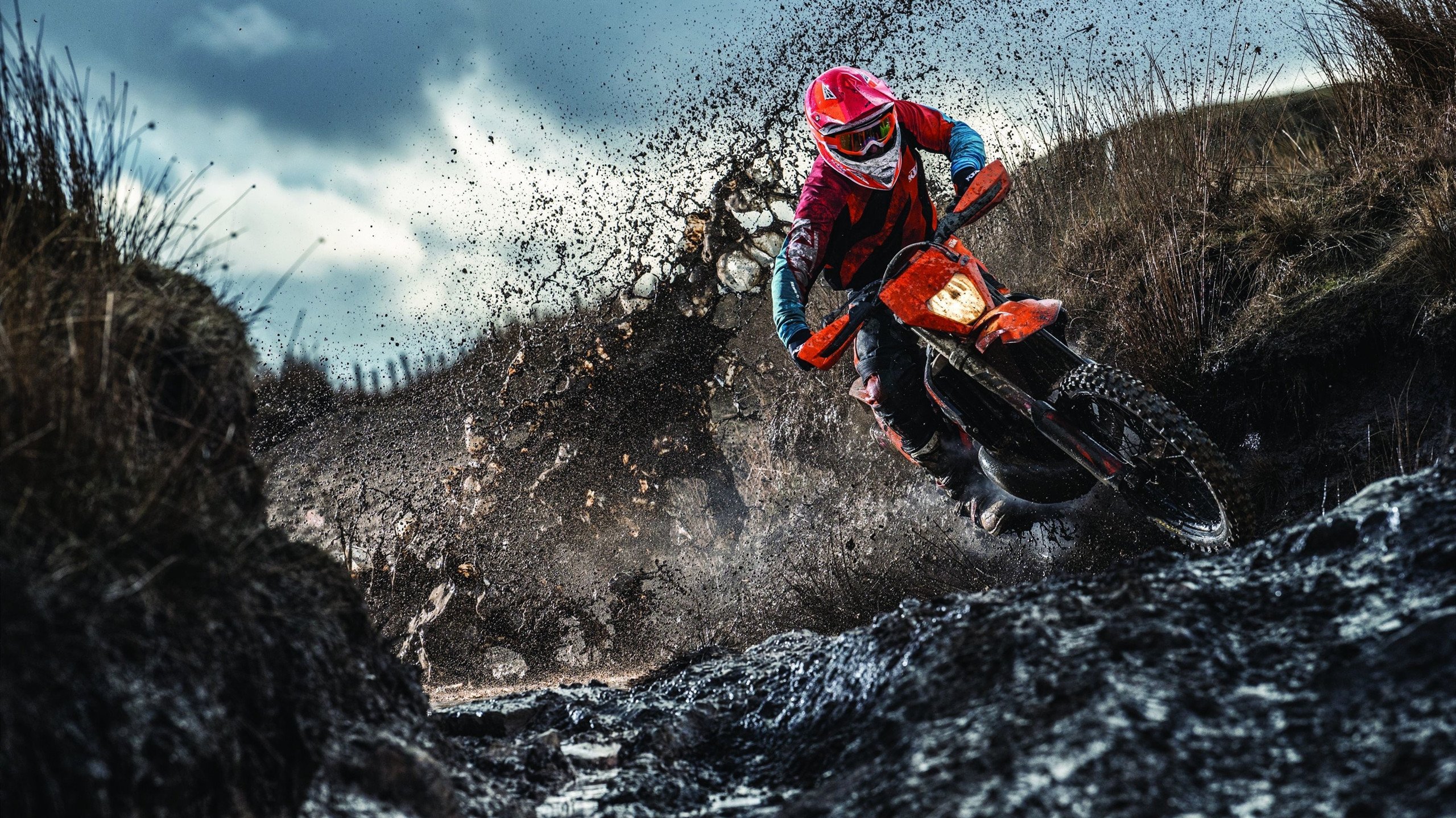 世界排球强队实力分析，世界排球最新排名