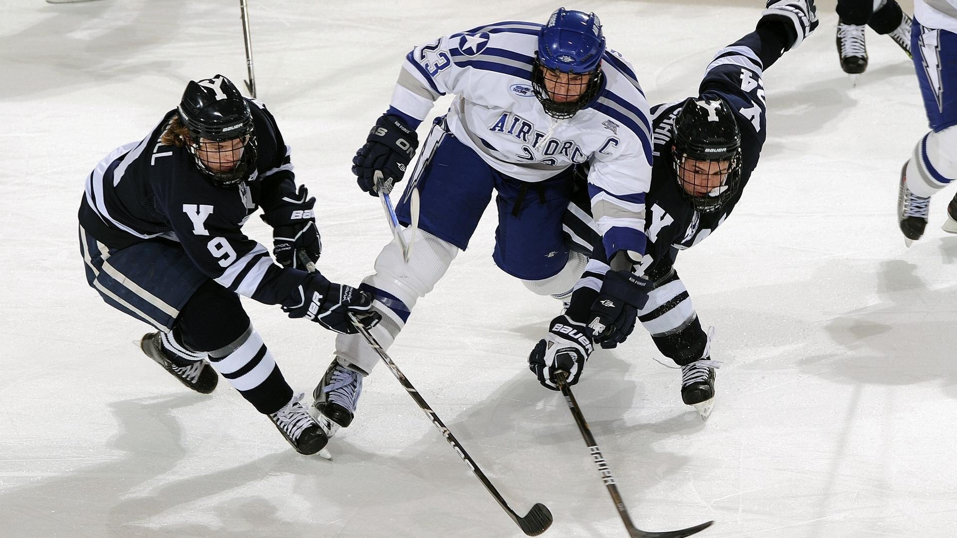 体育产业生态持续完善，体育产业生态圈